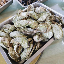 版本更新功能展示